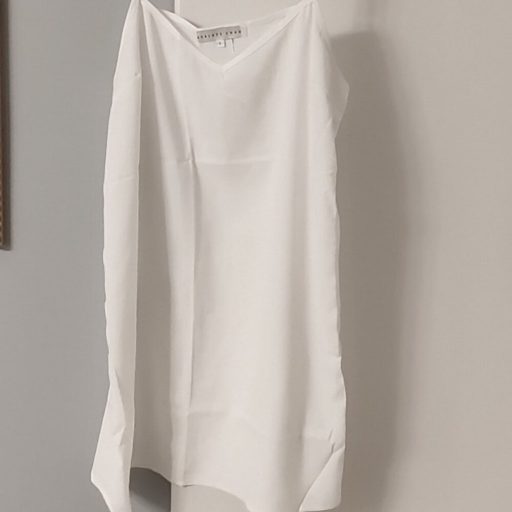 Endless Rose Size L Slip Camisole Chemise Dress
